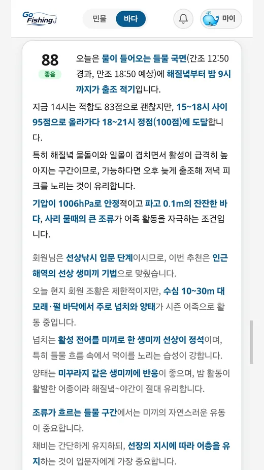 AI 낚시 리포트 — 오늘의 조건을 글로 풀어 설명하는 화면